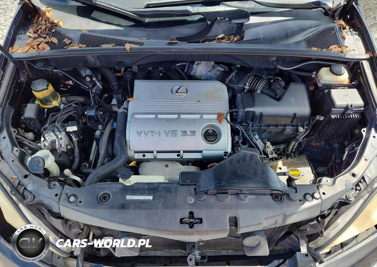 2004 Lexus Rx 330 VIN:JTJGA31U940003609 - 12