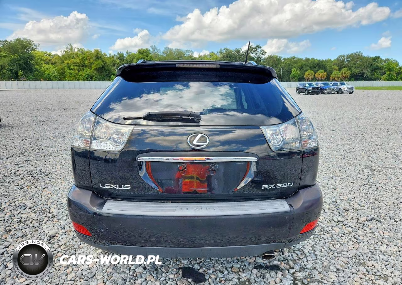 2004 Lexus Rx 330 VIN:JTJGA31U940003609 - 6