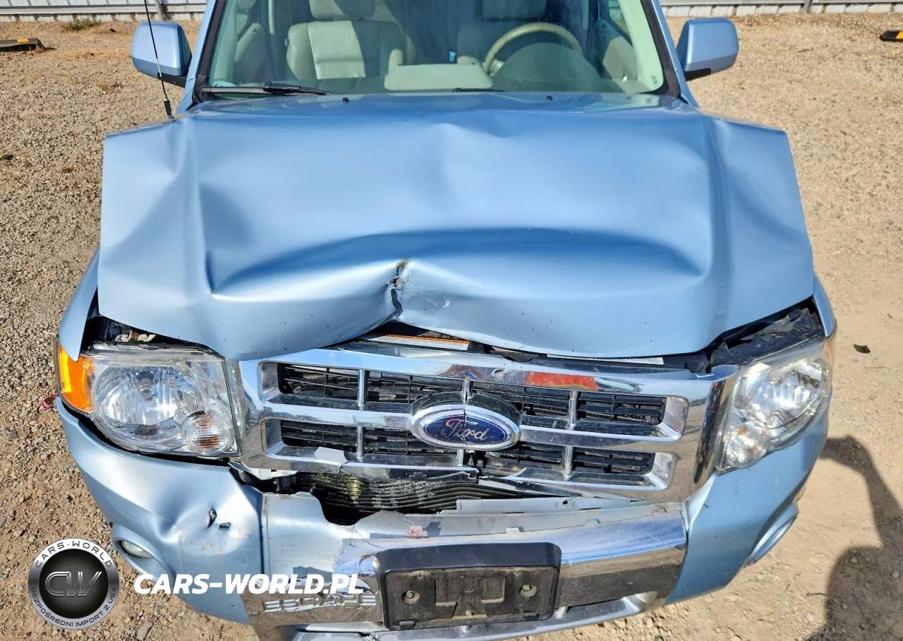 2009 Ford Escape Hybrid VIN:1FMCU59339KA59097 - 12
