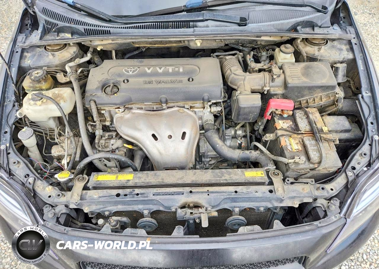 2009 Scion Tc Base VIN:JTKDE167590297902 - 11