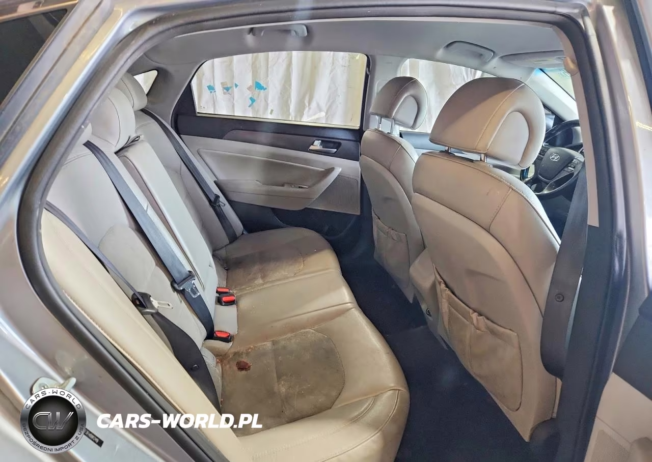 2015 Hyundai Sonata Sport VIN:5NPE34AF3FH091249 - 10