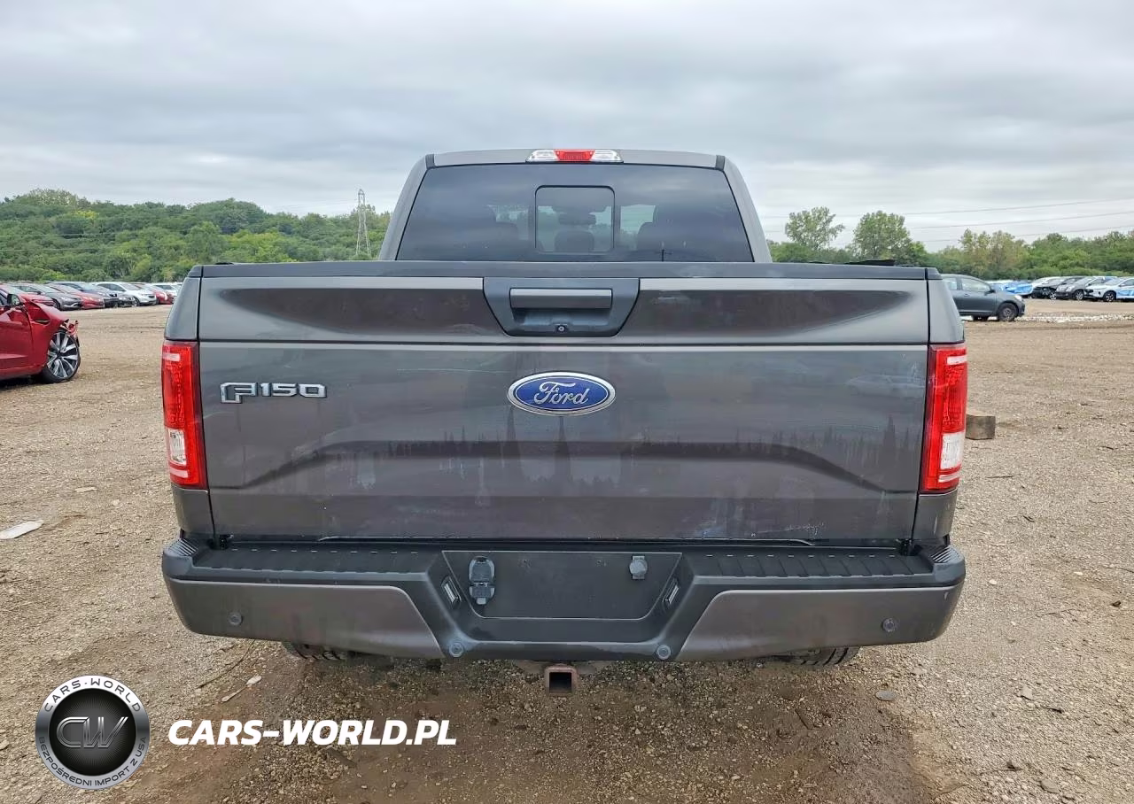 2015 Ford F150 Supercrew VIN:1FTFW1EG0FFC59419 - 6