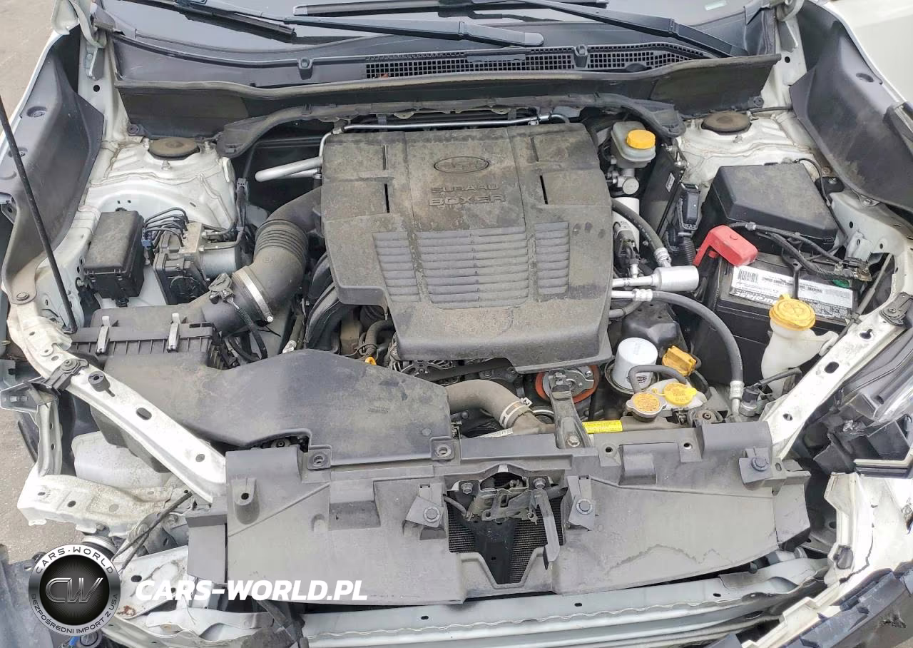 2019 Subaru Forester Premium VIN:JF2SKAEC6KH531186 - 12