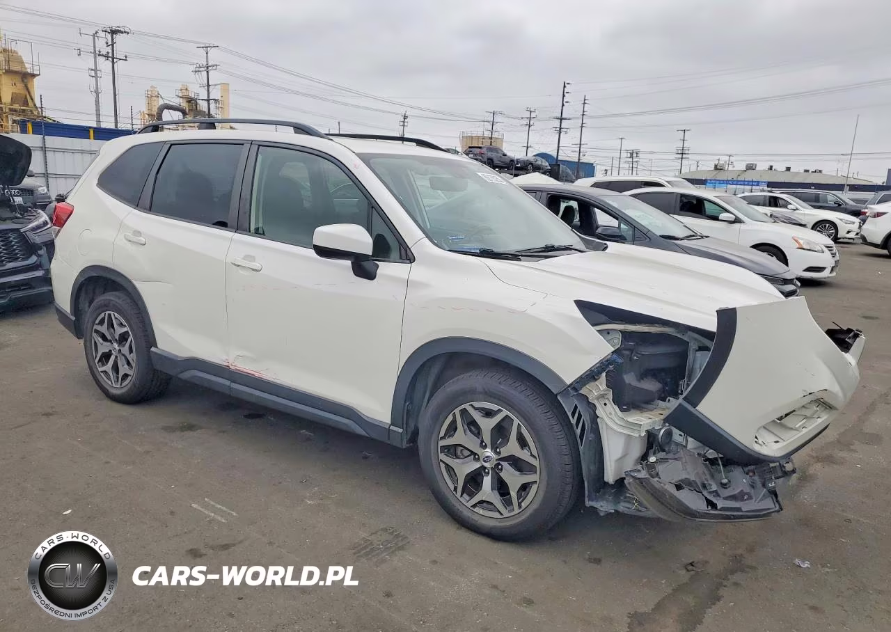 2019 Subaru Forester Premium VIN:JF2SKAEC6KH531186 - 4