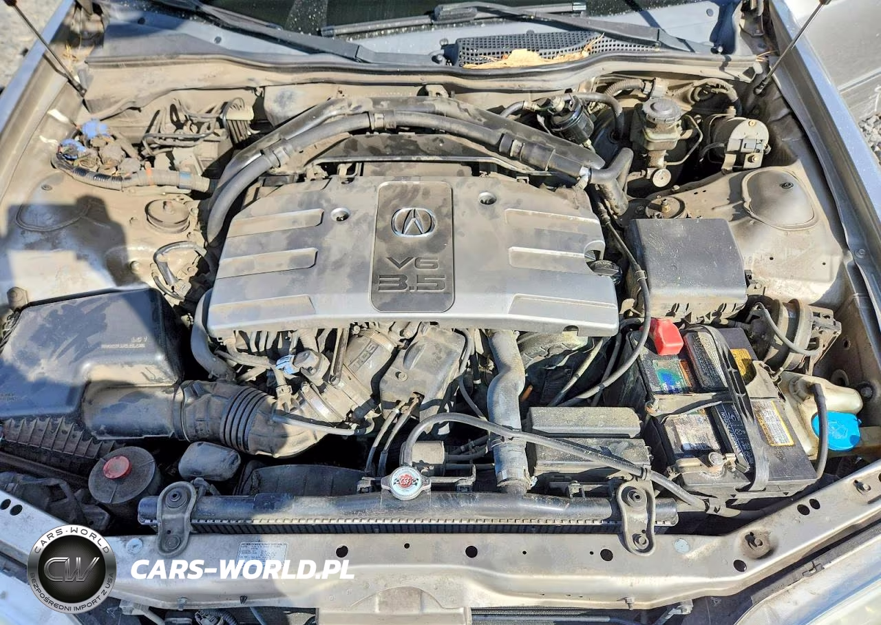 2002 Acura 3.5Rl VIN:JH4KA96542C002976 - 11