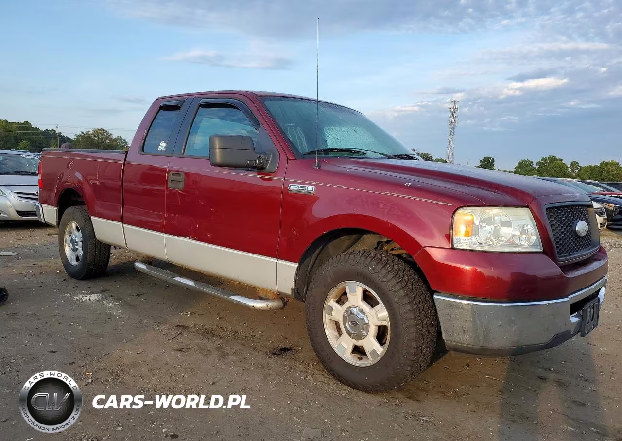 2006 Ford F150 VIN:1FTRX12W36NA87818 - 4