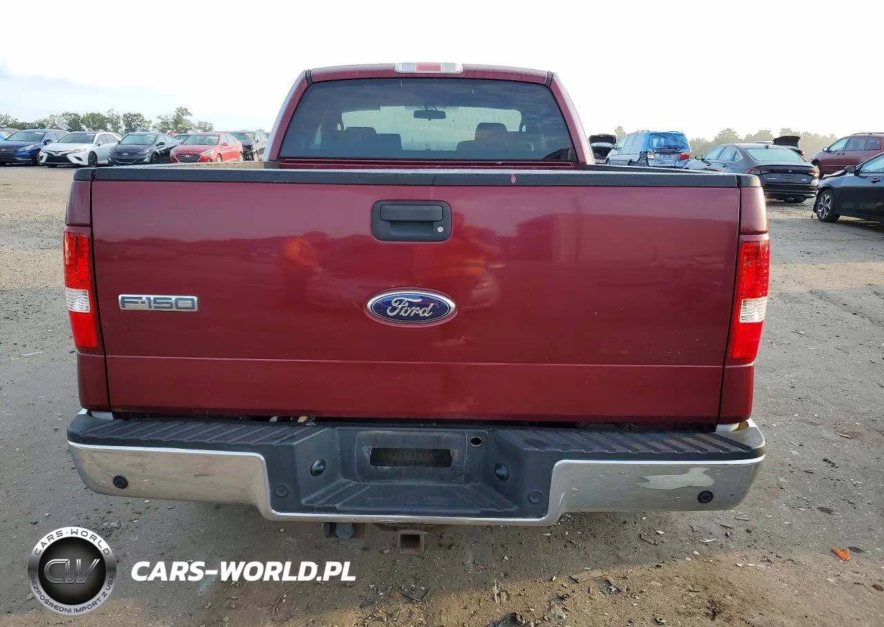 2006 Ford F150 VIN:1FTRX12W36NA87818 - 6