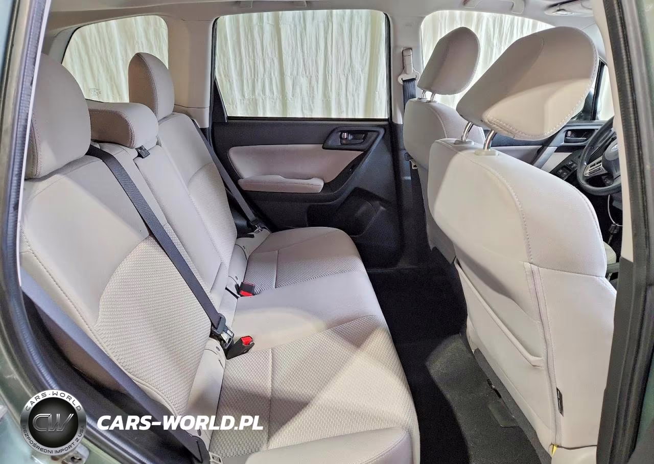 2015 Subaru Forester 2.5I Premium VIN:JF2SJADC3FH824389 - 11