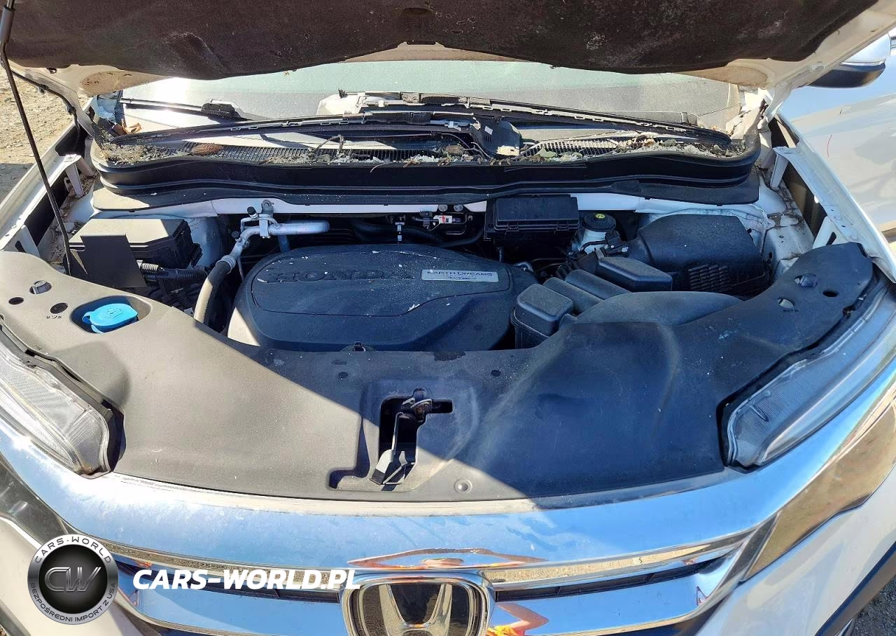 2019 Honda Pilot Exl VIN:5FNYF6H5XKB085924 - 12