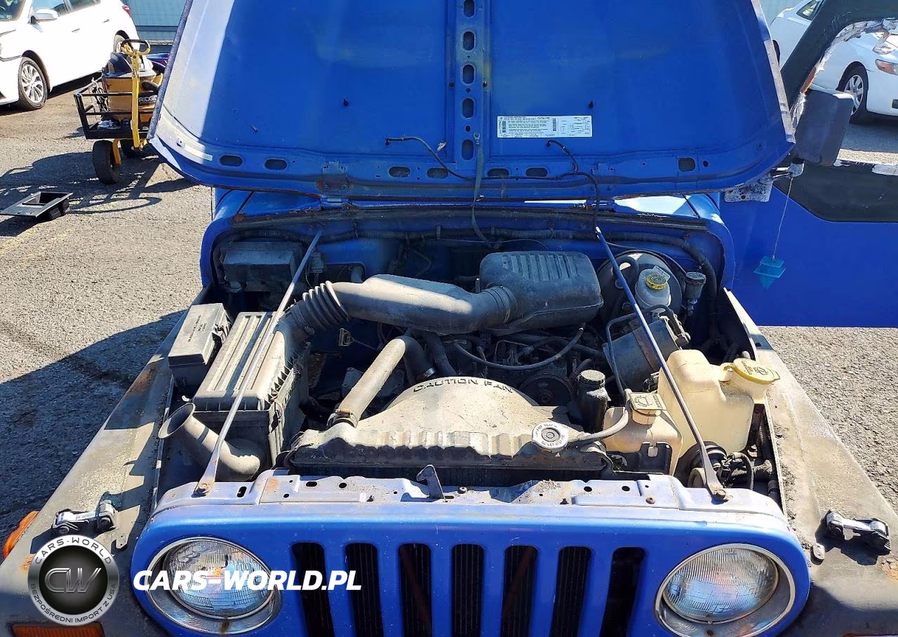 1997 Jeep Wrangler - Tj Se VIN:1J4FY29P8VP482188 - 11