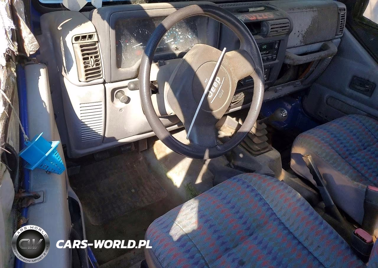 1997 Jeep Wrangler - Tj Se VIN:1J4FY29P8VP482188 - 8