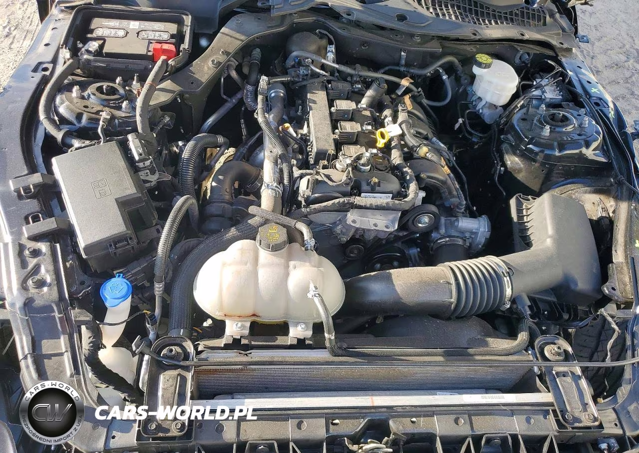 2023 Ford Mustang VIN:1FA6P8TH2P5109519 - 11