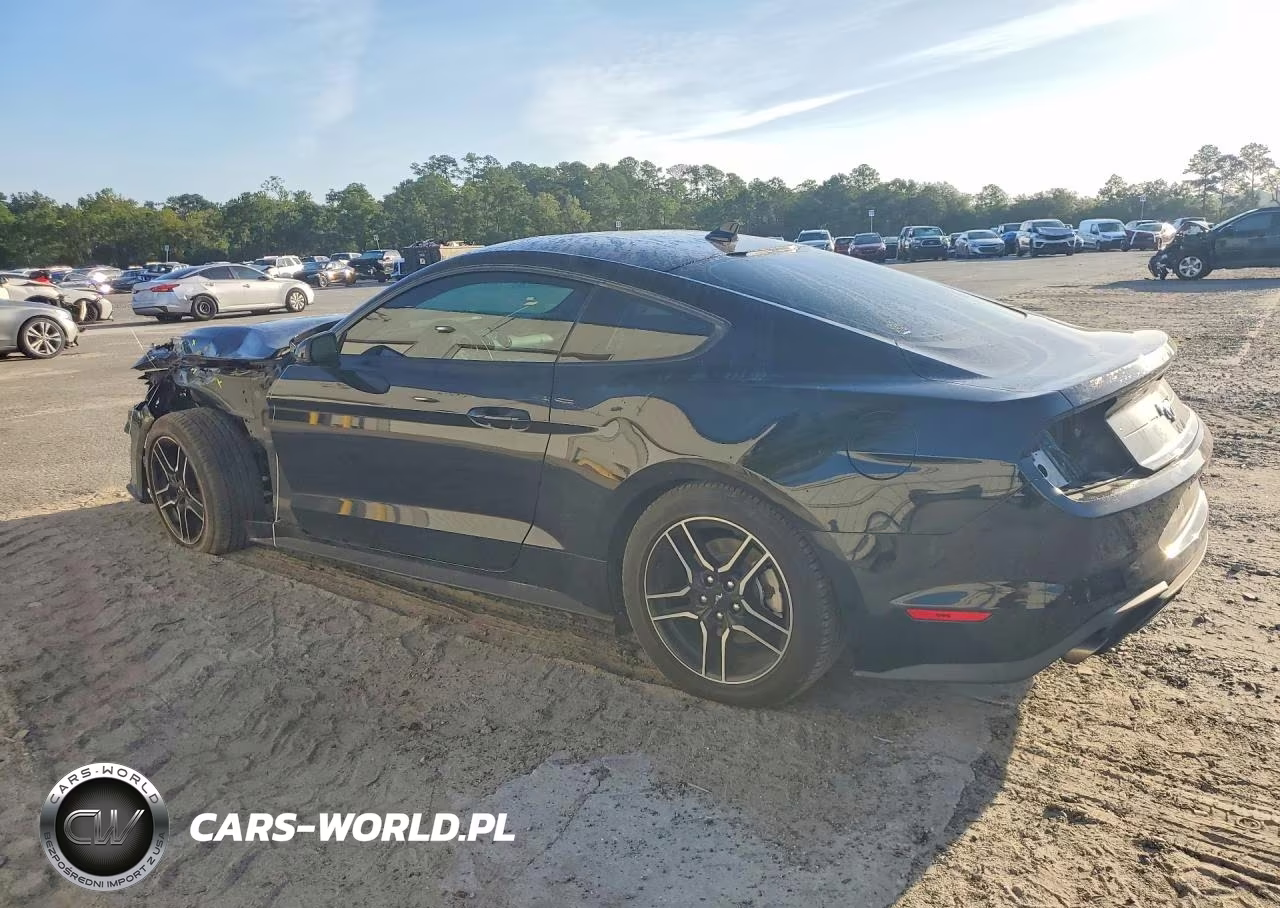 2023 Ford Mustang VIN:1FA6P8TH2P5109519 - 2