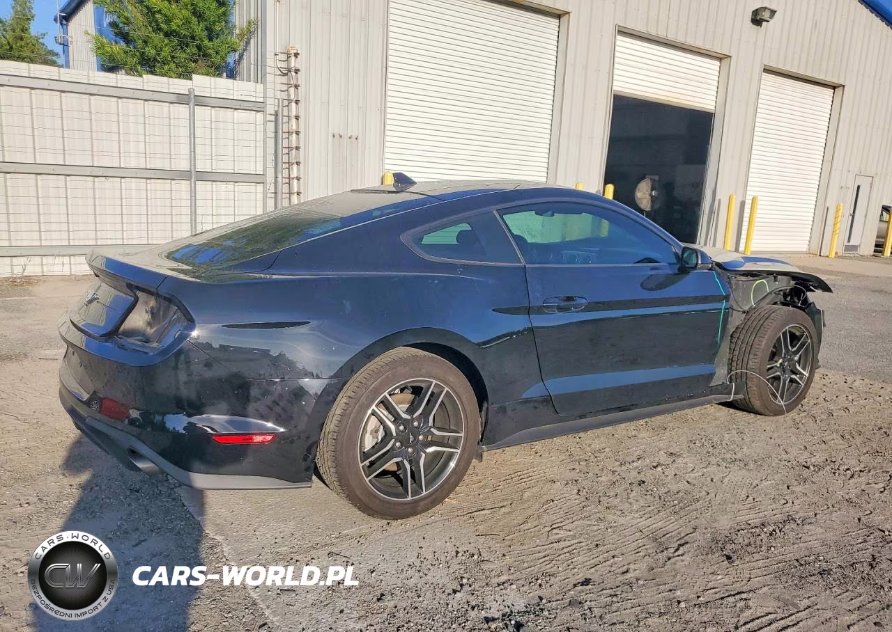 2023 Ford Mustang VIN:1FA6P8TH2P5109519 - 3