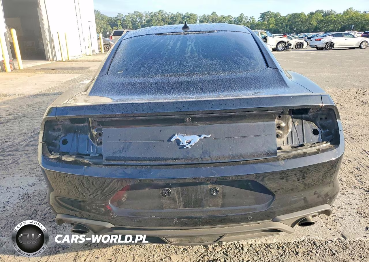 2023 Ford Mustang VIN:1FA6P8TH2P5109519 - 6