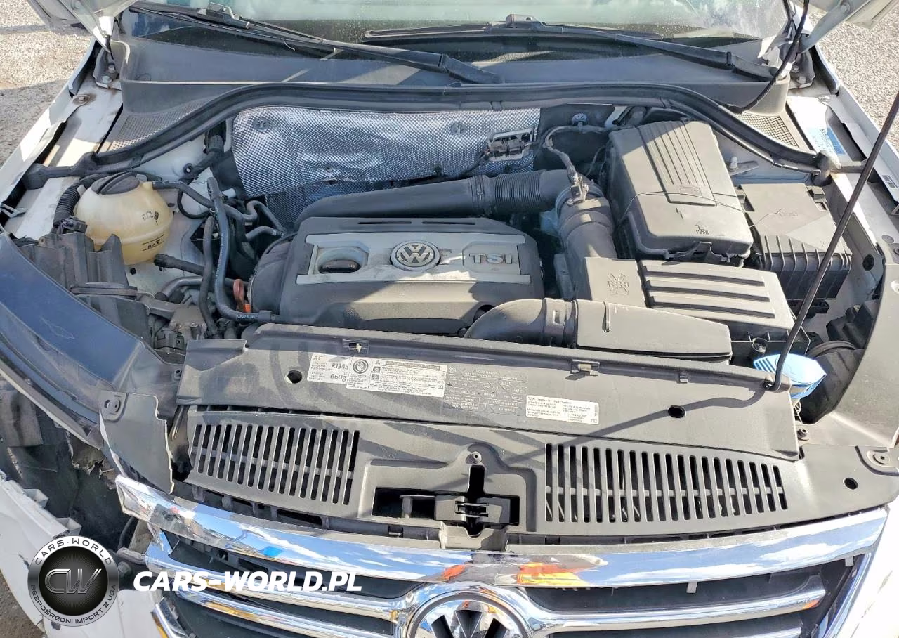 2011 Volkswagen Tiguan S VIN:WVGAV7AX6BW553810 - 11