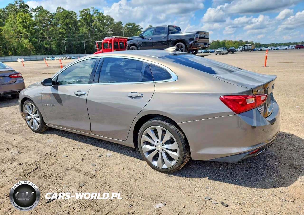 2017 Chevrolet Malibu Premier VIN:1G1ZH5SX1HF174636 - 2