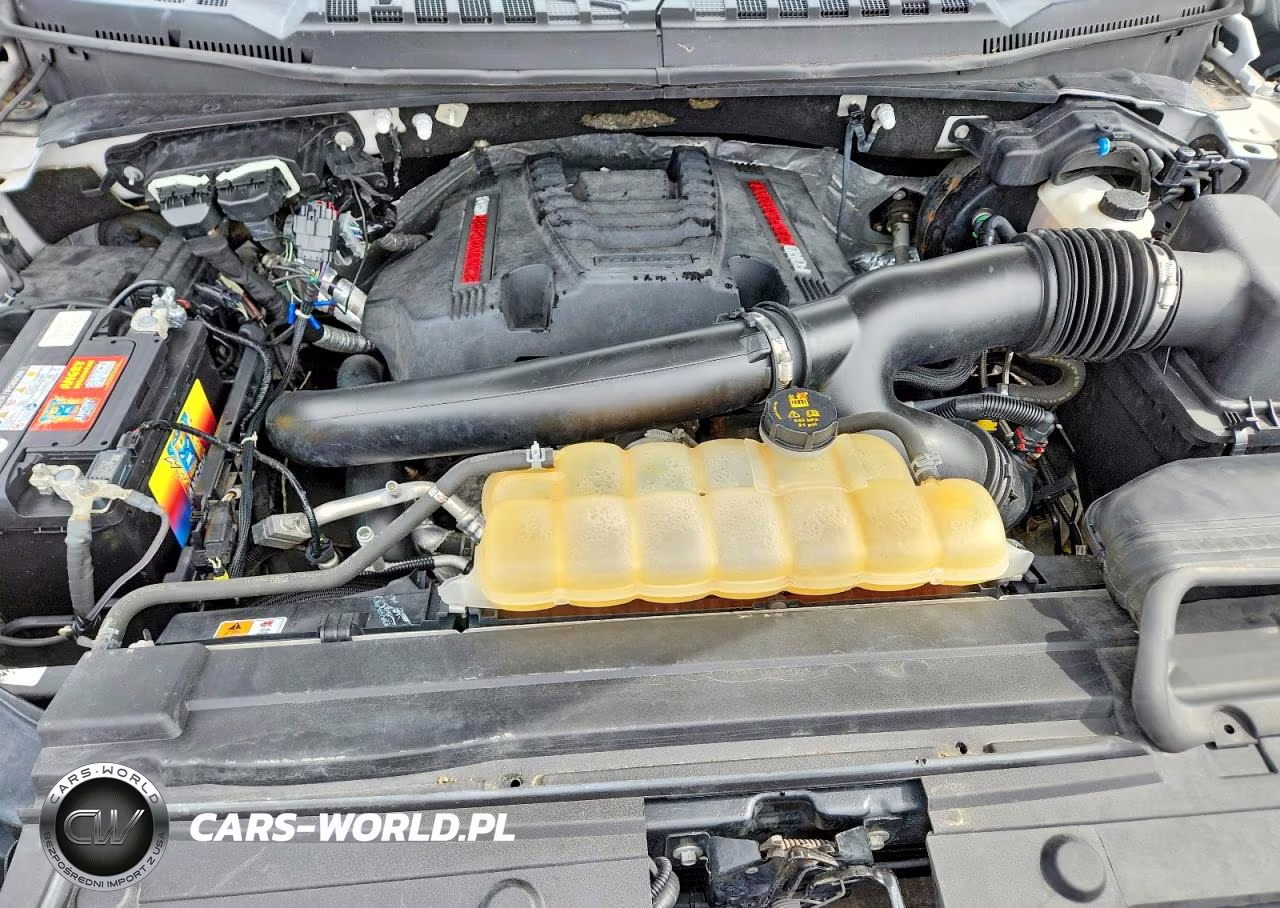 2019 Ford F150 Raptor VIN:1FTFW1RGXKFA76159 - 11
