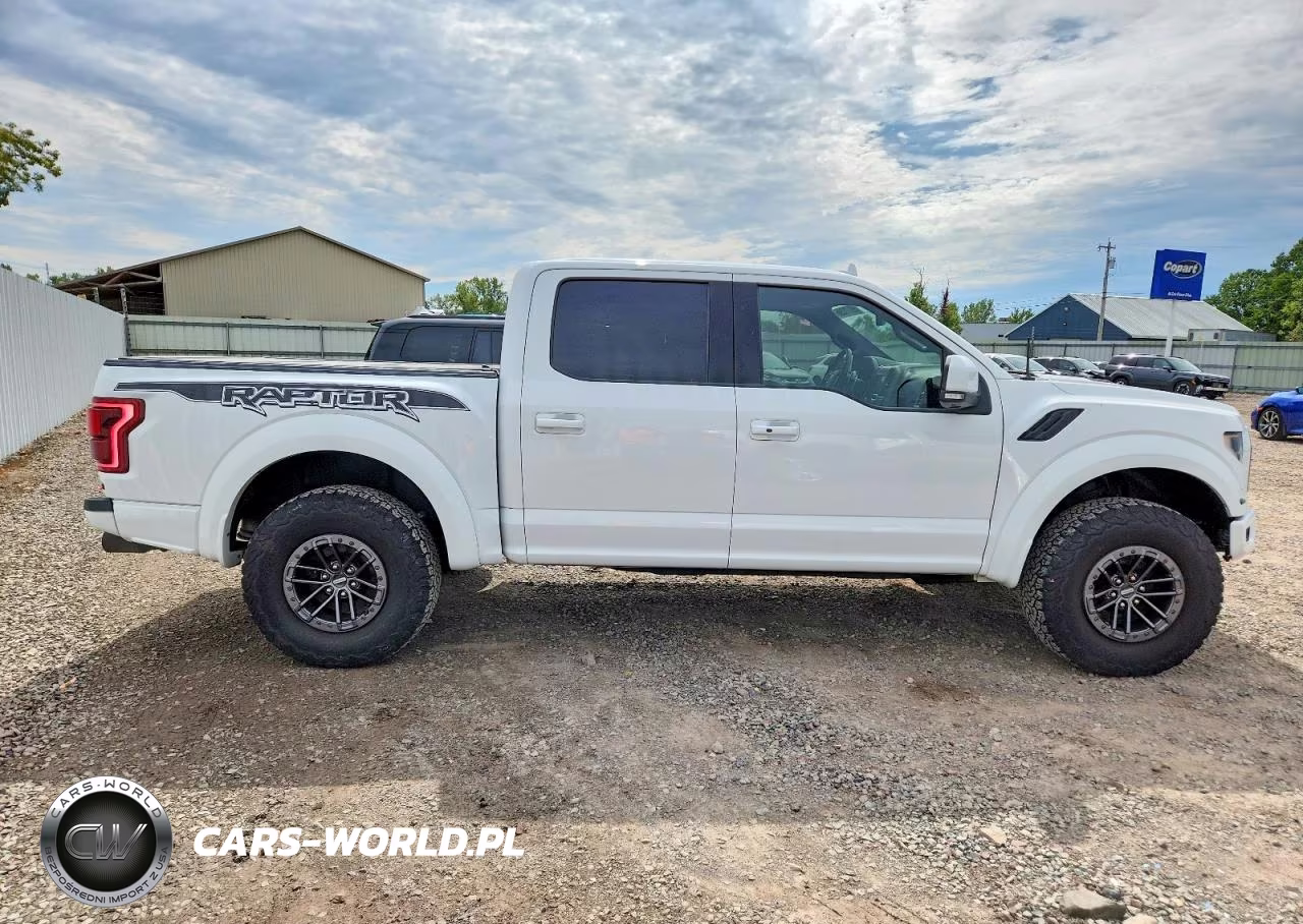 2019 Ford F150 Raptor VIN:1FTFW1RGXKFA76159 - 12