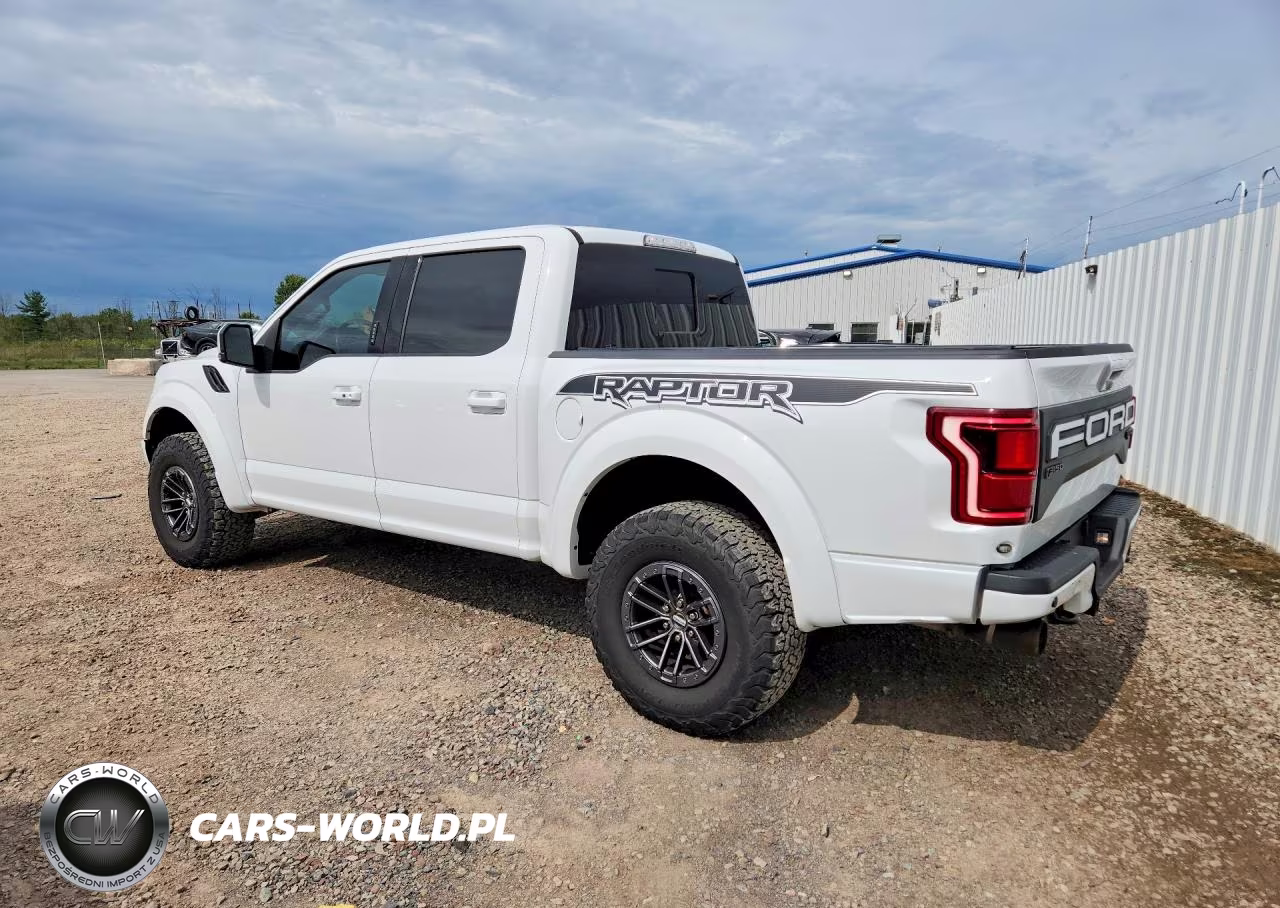 2019 Ford F150 Raptor VIN:1FTFW1RGXKFA76159 - 2