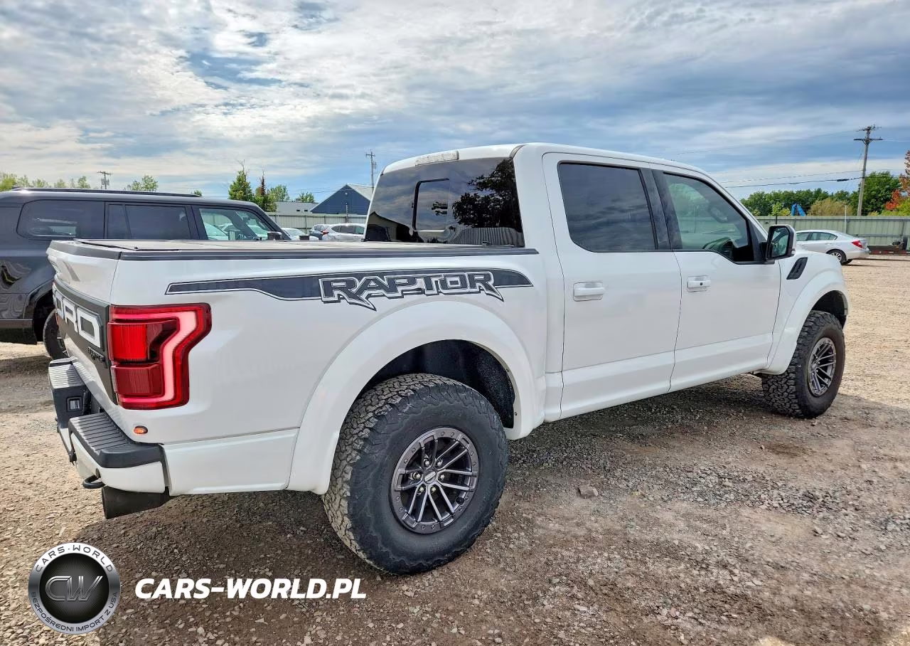 2019 Ford F150 Raptor VIN:1FTFW1RGXKFA76159 - 3