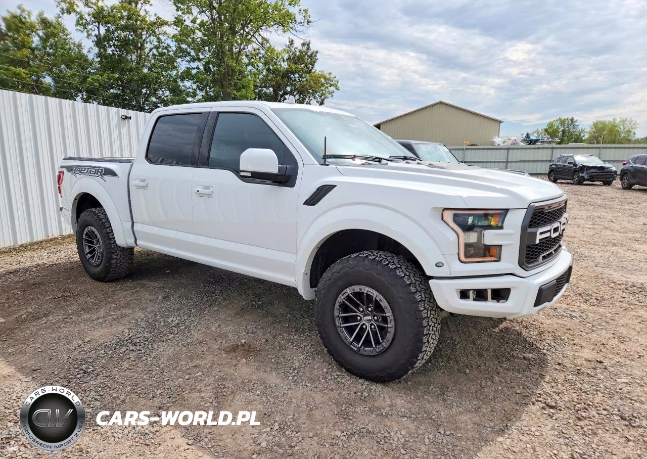2019 Ford F150 Raptor VIN:1FTFW1RGXKFA76159 - 4