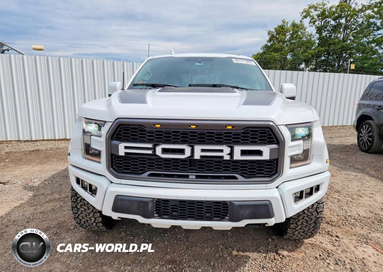 2019 Ford F150 Raptor VIN:1FTFW1RGXKFA76159 - 5