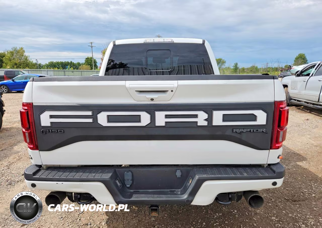 2019 Ford F150 Raptor VIN:1FTFW1RGXKFA76159 - 6