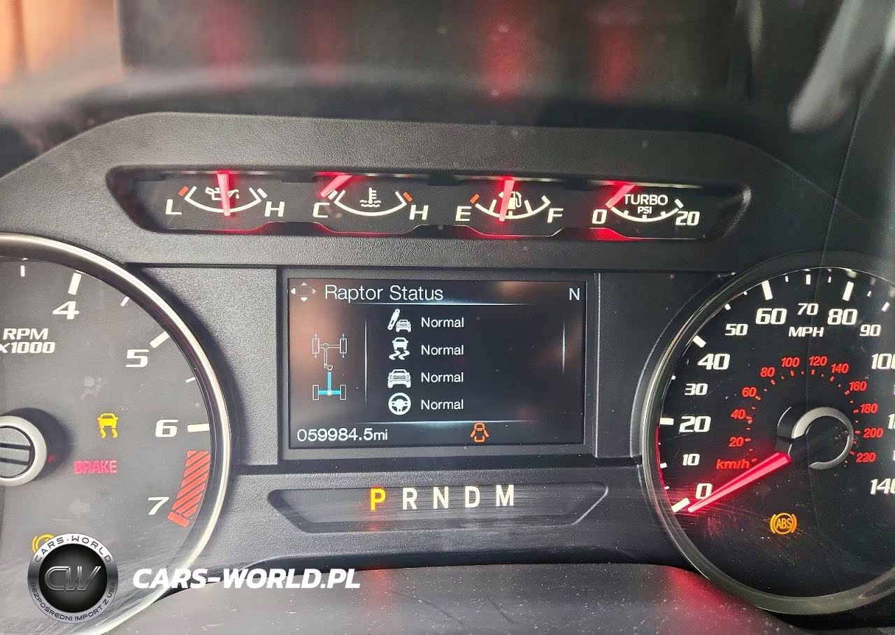 2019 Ford F150 Raptor VIN:1FTFW1RGXKFA76159 - 9