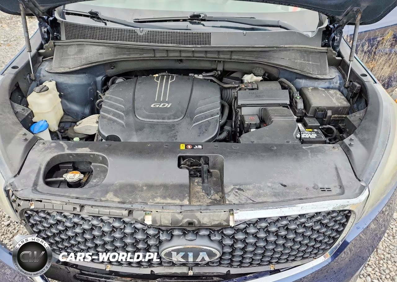 2017 Kia Sorento Lx V6 VIN:5XYPG4A55HG191447 - 12