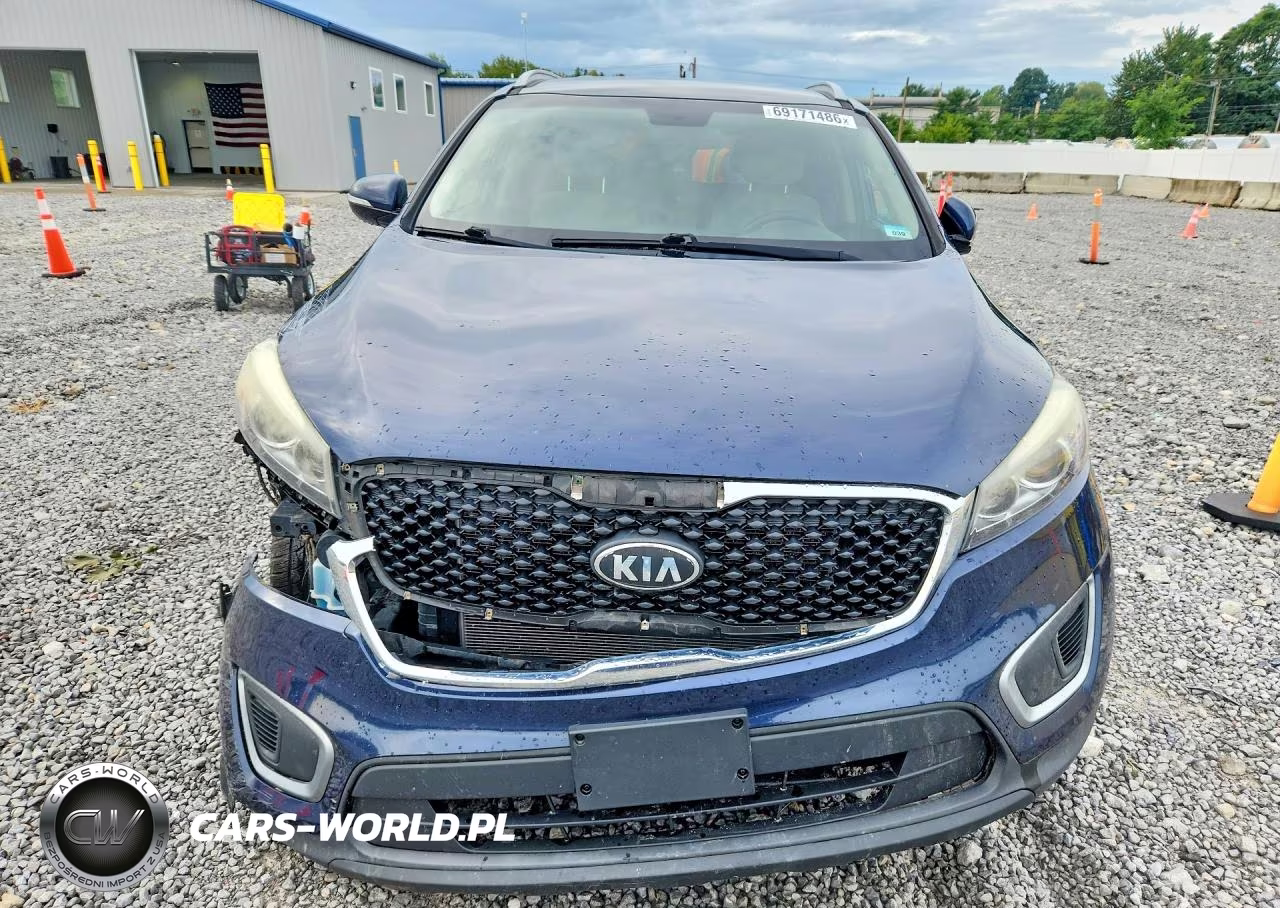 2017 Kia Sorento Lx V6 VIN:5XYPG4A55HG191447 - 5