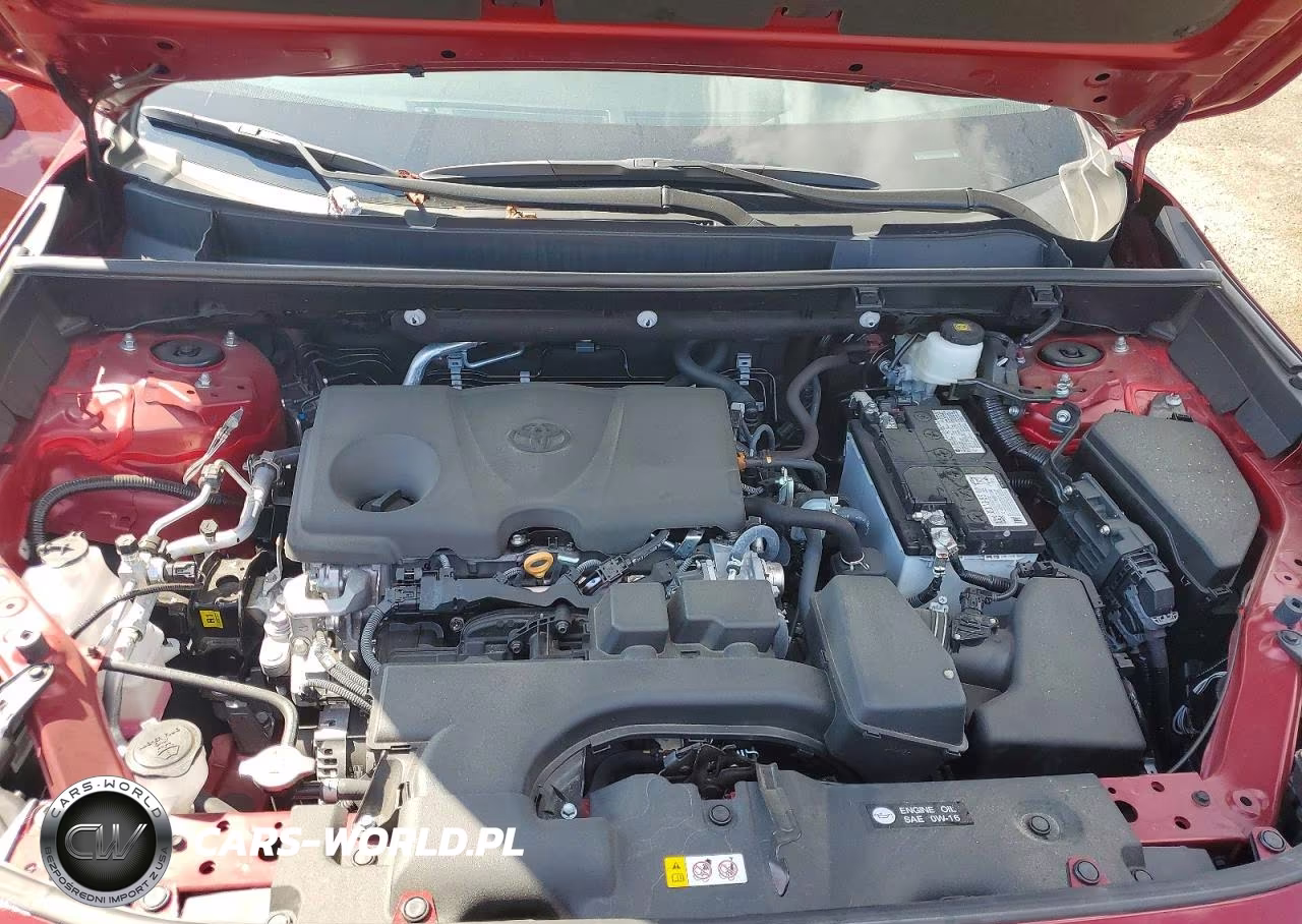 2025 Toyota Rav4 Xle VIN:2T3W1RFV5SW418583 - 11