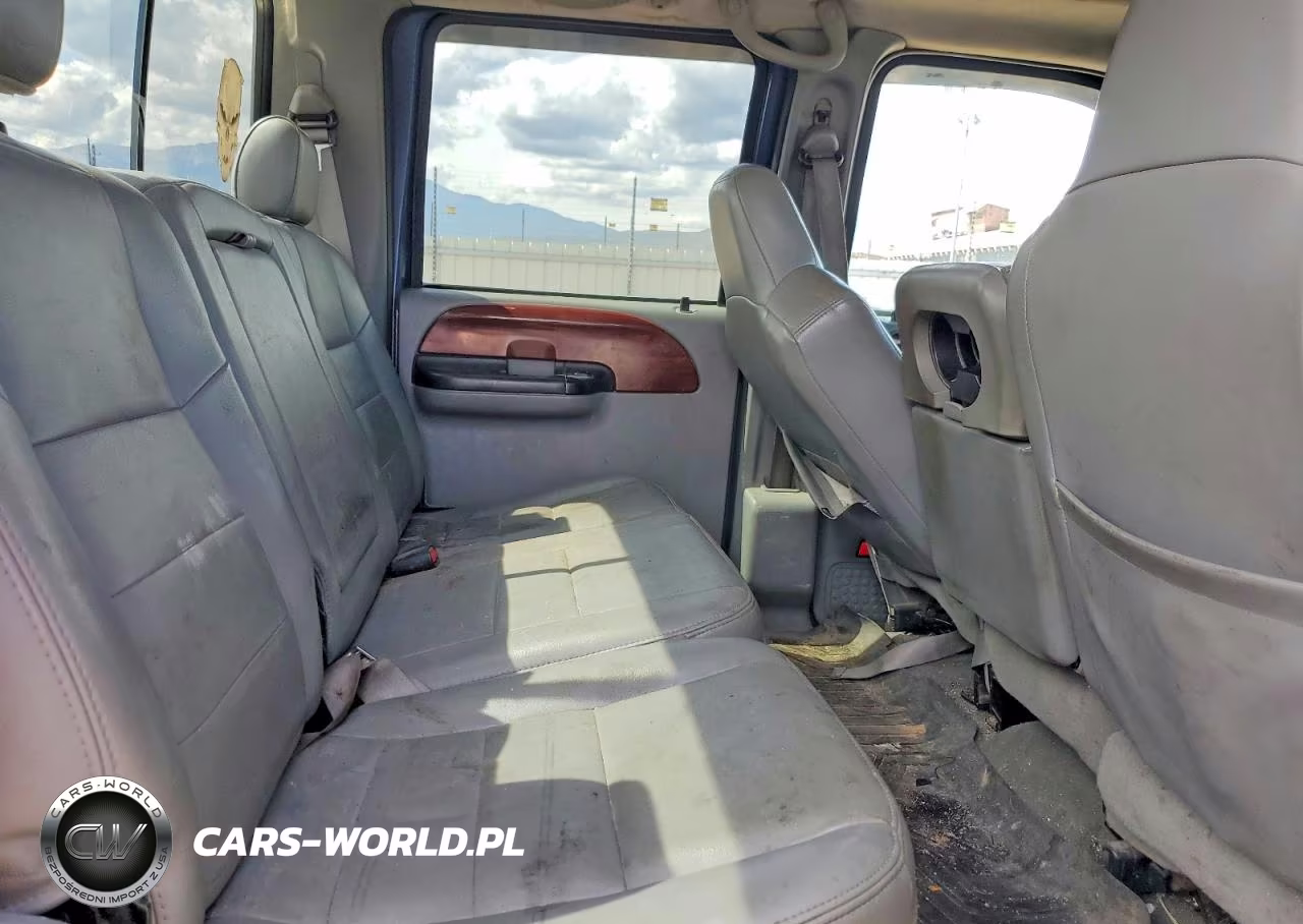 2006 Ford F250 Super Duty VIN:1FTSW21P46EA47817 - 10