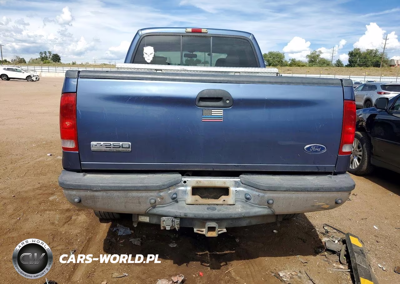 2006 Ford F250 Super Duty VIN:1FTSW21P46EA47817 - 6