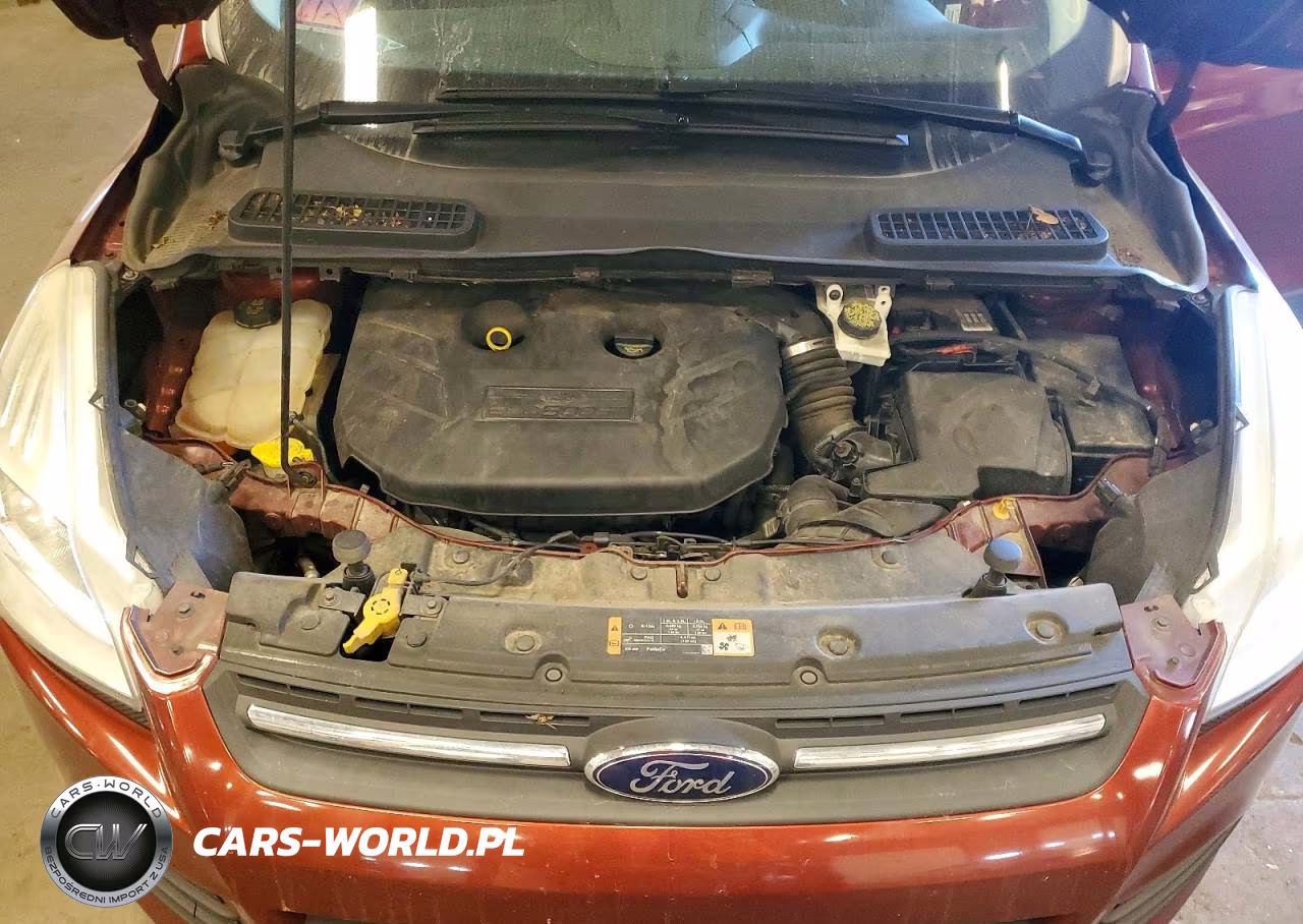 2014 Ford Escape Se VIN:1FMCU0G91EUB46912 - 12