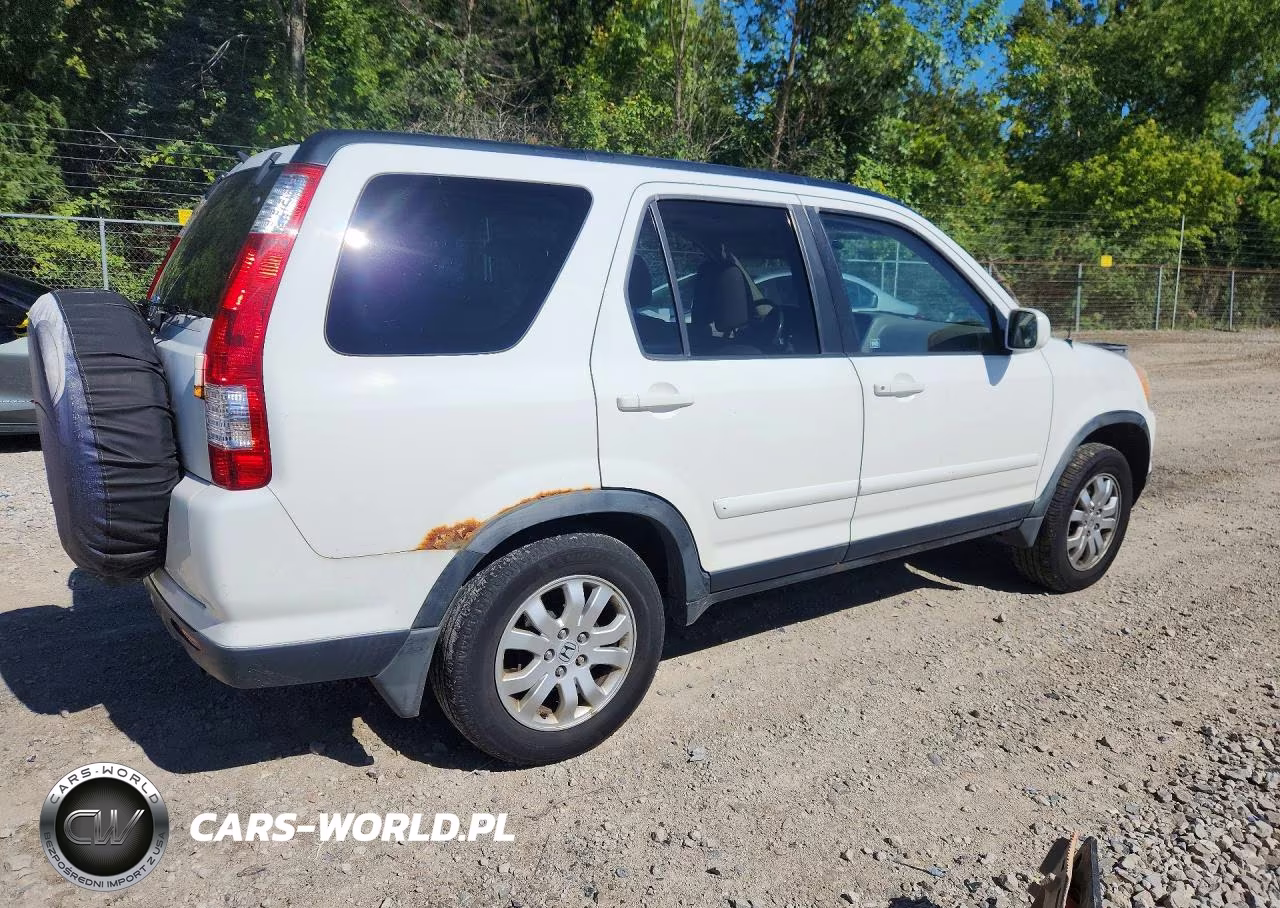 2006 Honda Cr-V Se VIN:JHLRD78916C007542 - 3