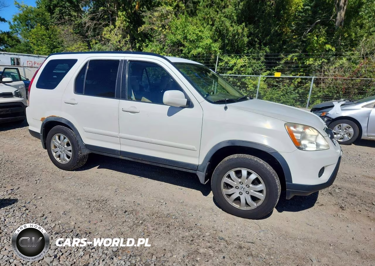 2006 Honda Cr-V Se VIN:JHLRD78916C007542 - 4