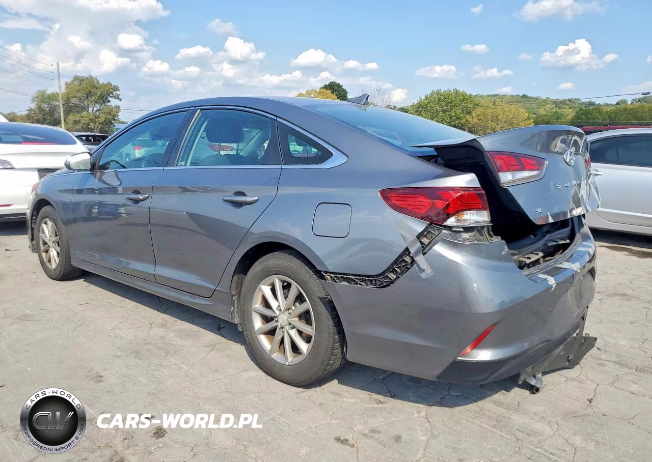 2019 Hyundai Sonata Se VIN:5NPE24AF4KH743616 - 2