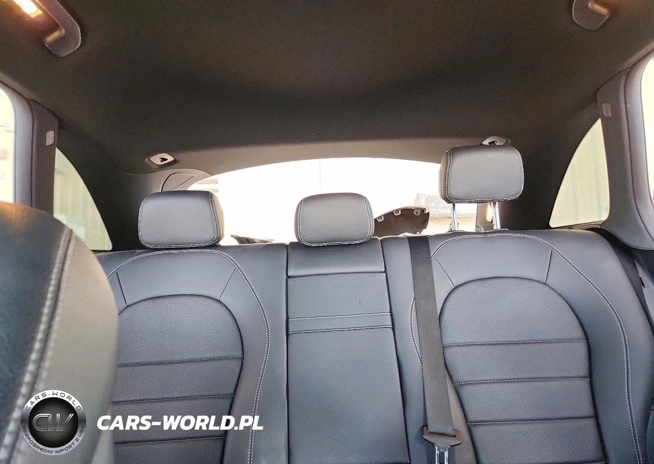 2020 Mercedes-Benz Glc 300 VIN:W1N0G8DBXLF863226 - 10