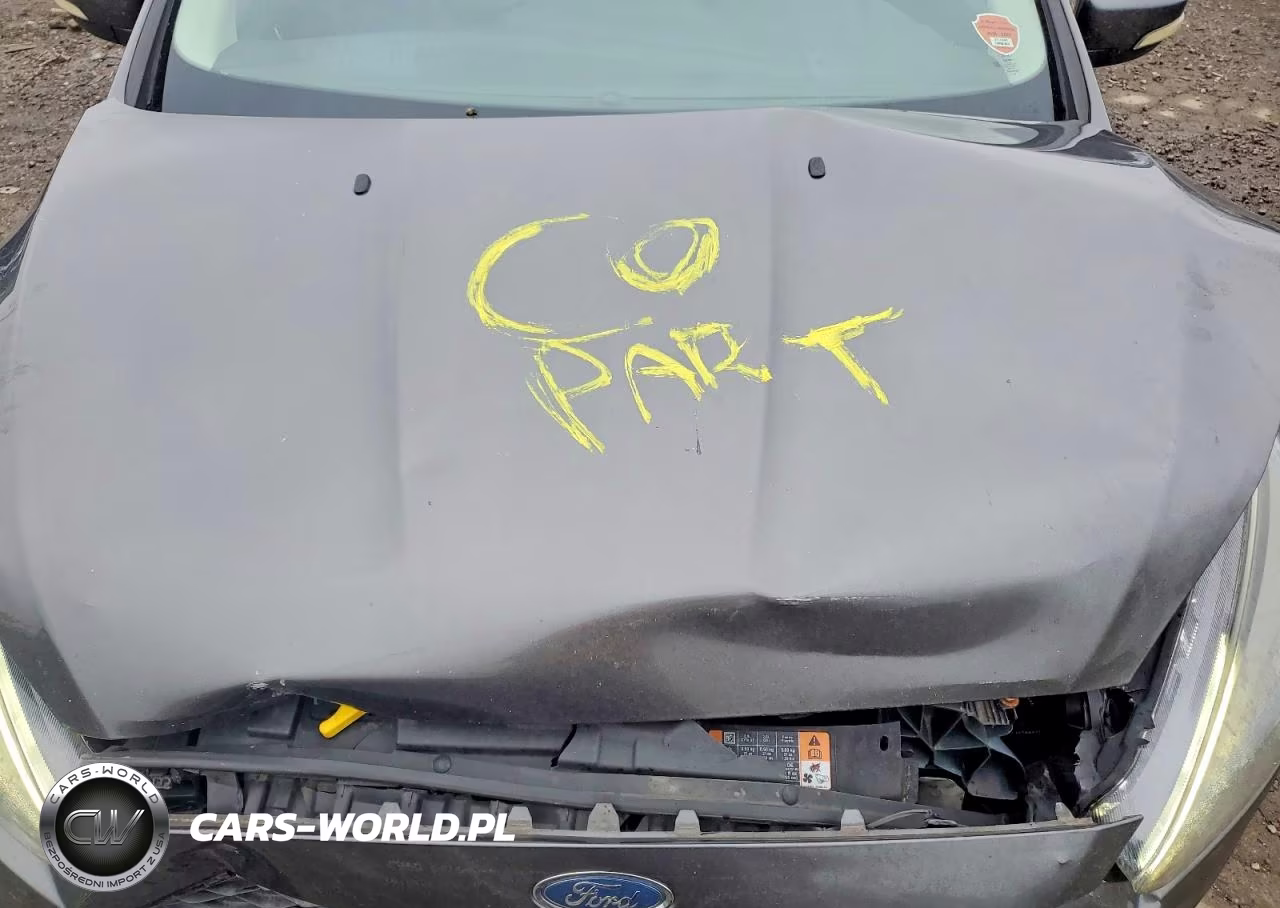 2016 Ford Focus Se VIN:1FADP3F21GL302337 - 11