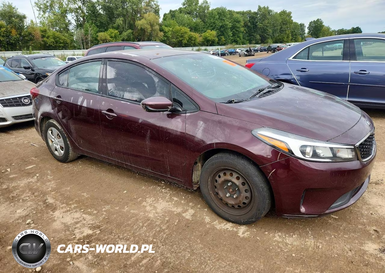 2017 Kia Forte Lx VIN:3KPFK4A70HE119452 - 4