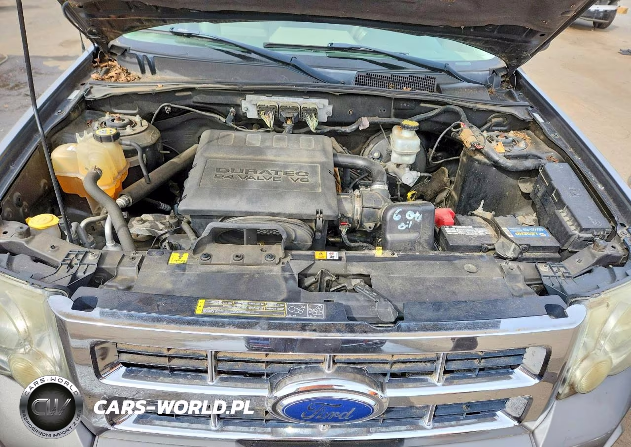 2009 Ford Escape Xlt VIN:1FMCU93G99KB40303 - 11