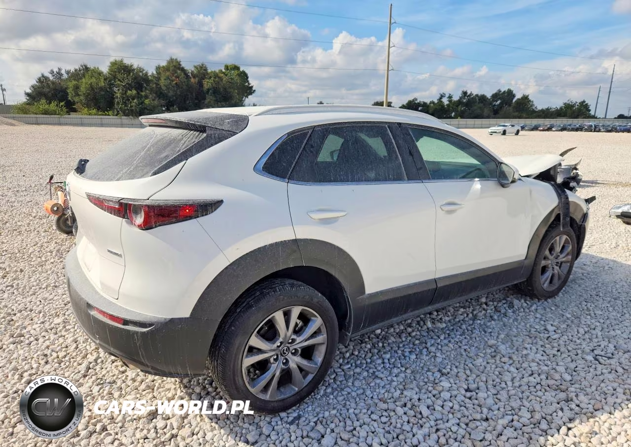 2025 Mazda Cx-30 Preferred VIN:3MVDMBCM0SM794061 - 3
