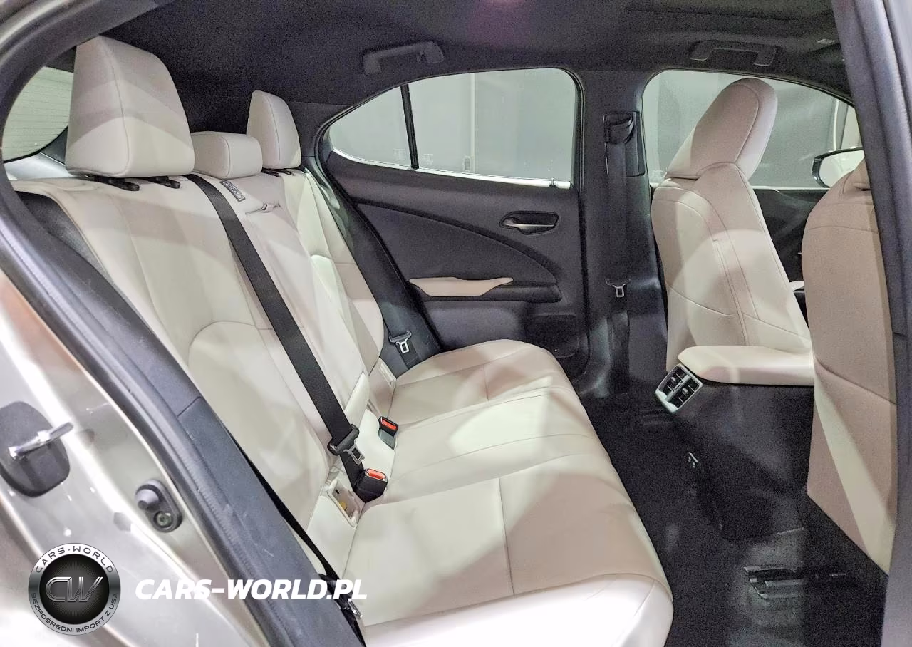 2020 Lexus Ux 250H VIN:JTHP9JBH5L2035329 - 11