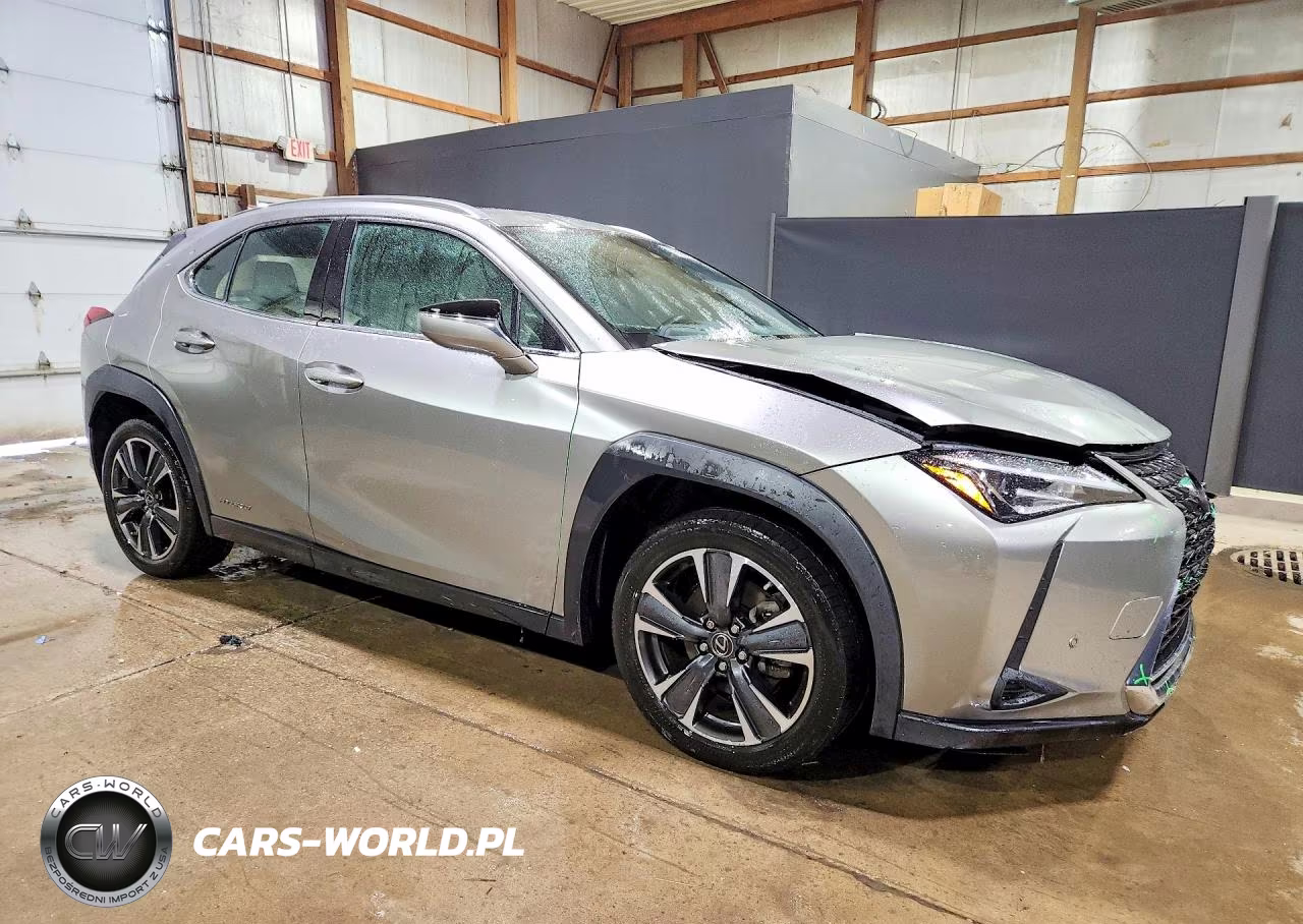 2020 Lexus Ux 250H VIN:JTHP9JBH5L2035329 - 4