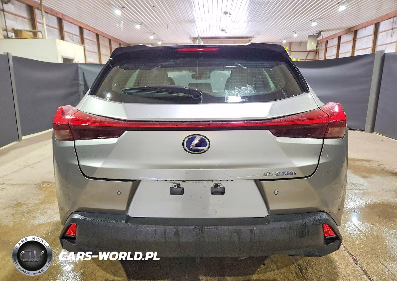 2020 Lexus Ux 250H VIN:JTHP9JBH5L2035329 - 6