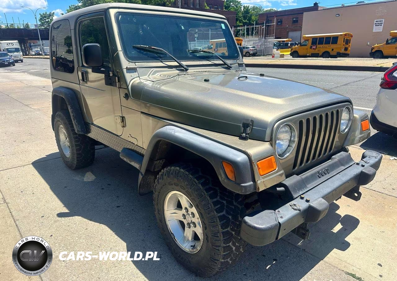 JEEP WRANGLER - VIN:1J4FA49SX4P723705 - 2