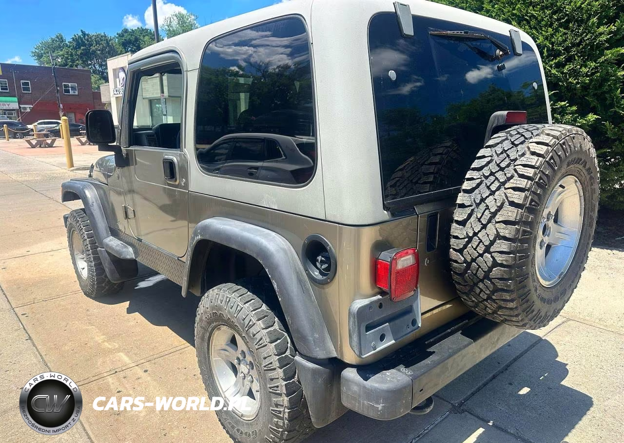 JEEP WRANGLER - VIN:1J4FA49SX4P723705 - 3