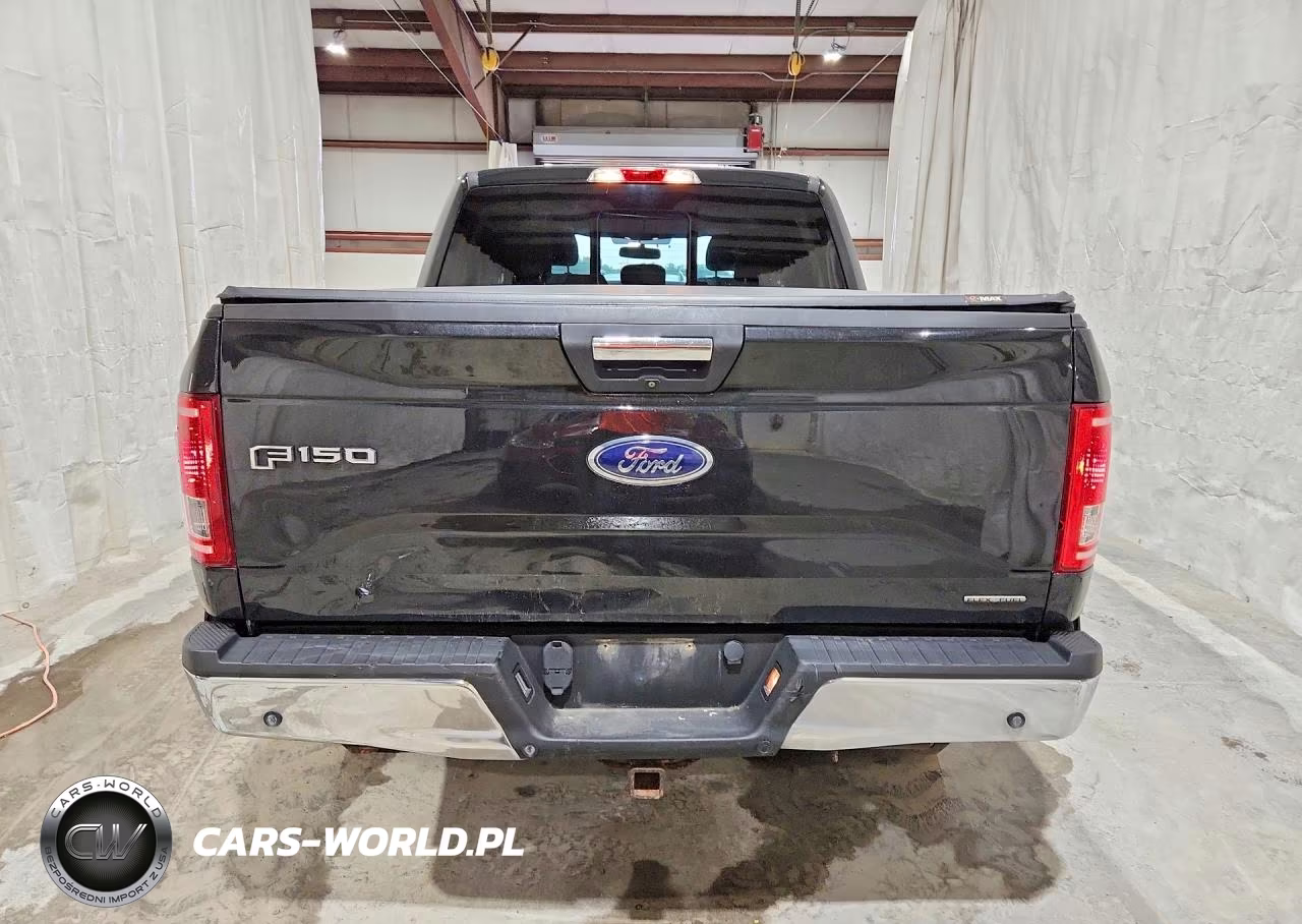 2015 Ford F150 Supercrew VIN:1FTEW1EF2FFC15988 - 6