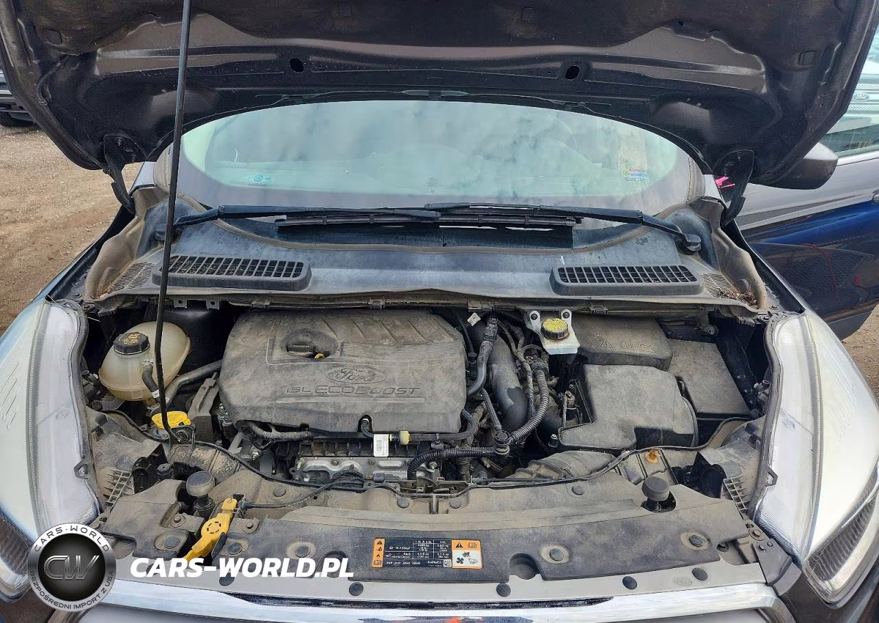 2018 Ford Escape Se VIN:1FMCU0GD5JUD07275 - 12